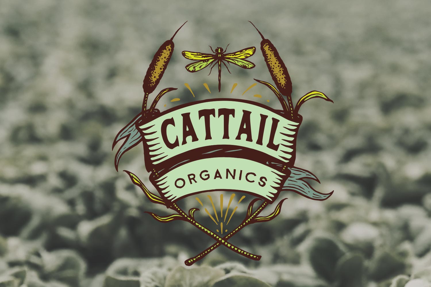 Cattail Organics Logo