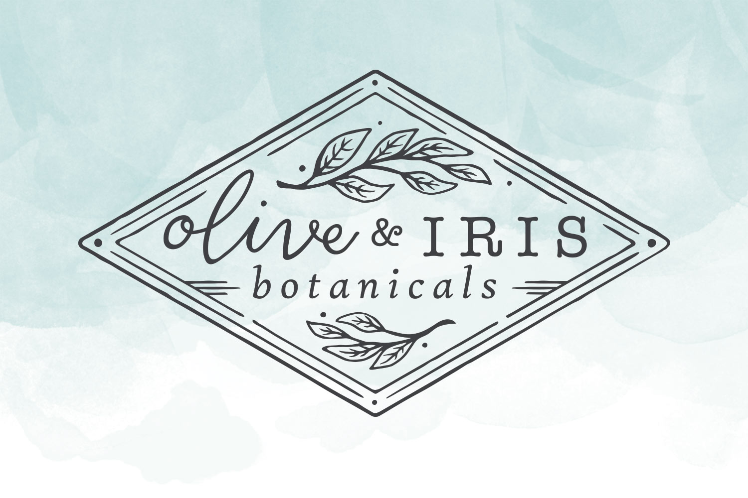 Olive & Botanicals Logo design